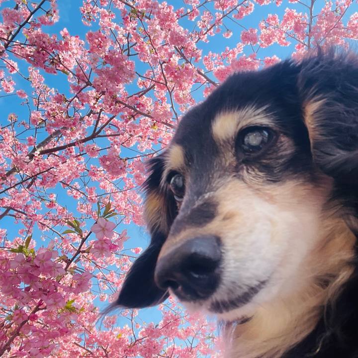 A26331fd 5606 45dc 92d1 008c2c830b28 1741612636540