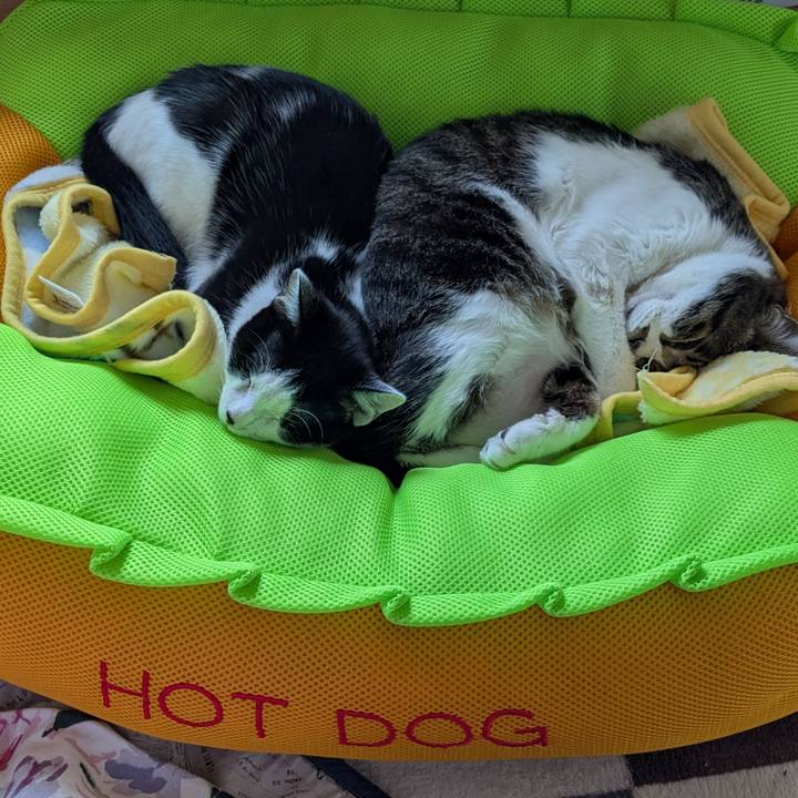 A2633657 5af3 4b11 8225 4fef50eeece4 1734795623093