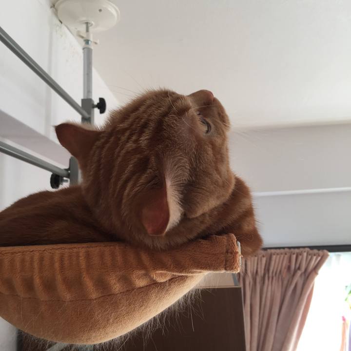 A2633c59 f2f3 4c47 a8f3 e55da83b28b4 1545612982743