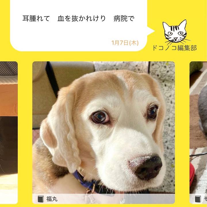 A2638967 9dbd 4fdc 8feb 7167501f528b 1673068764018