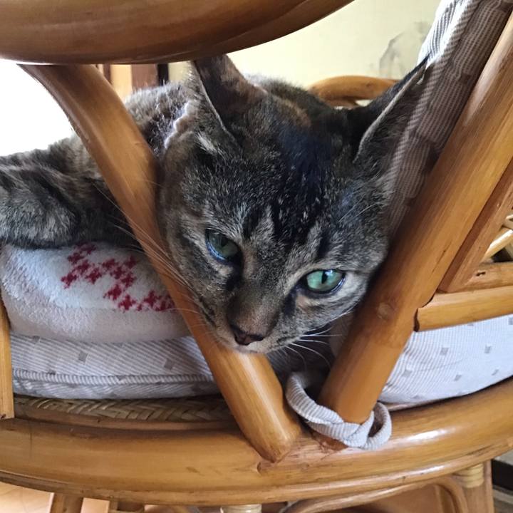 A2639a2f fe04 4f85 a305 a1c357744585 1659440136426