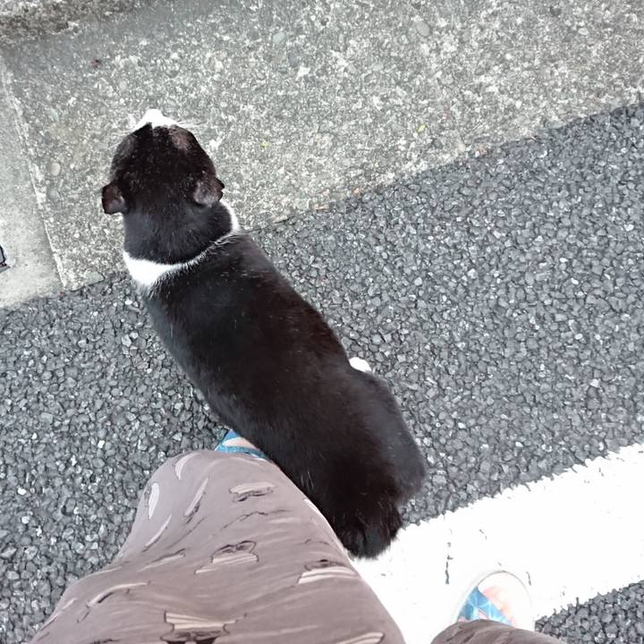 A263ba93 bfa1 4fdd 8fa9 1692c92c05fc 1665479492913