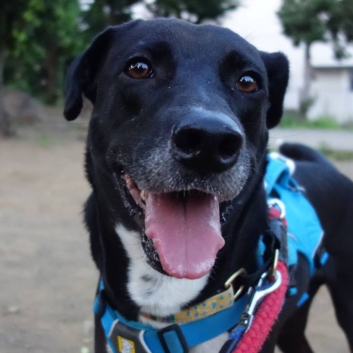 A263be8d be5f 4d34 950b 03e873c8dbdb 1623236159601