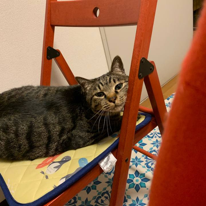 A263c968 867c 4190 9b14 37070dfba15c 1588633685346