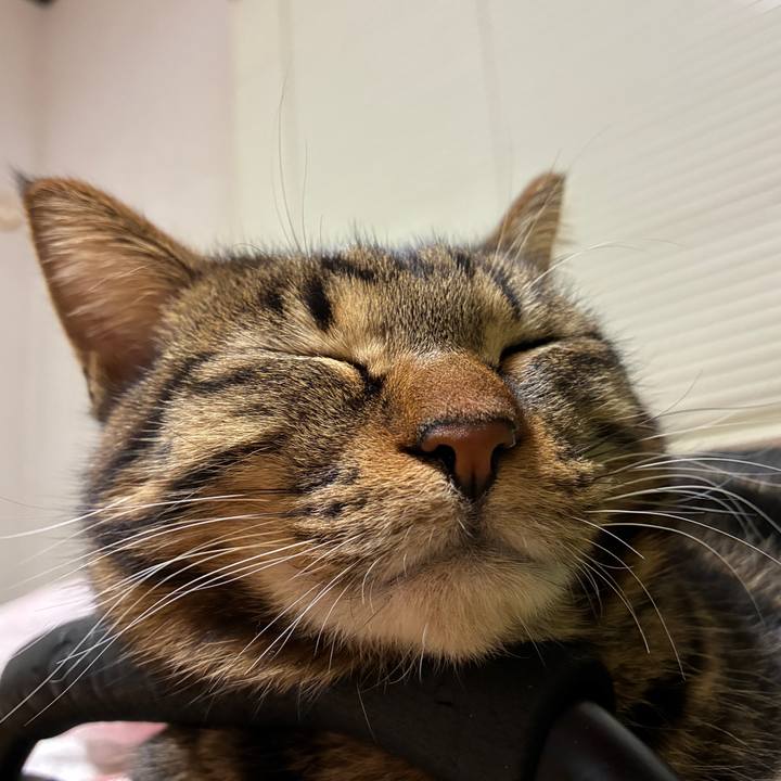 A263e021 c0f3 4633 bbde 025a525c0a19 1768728095462