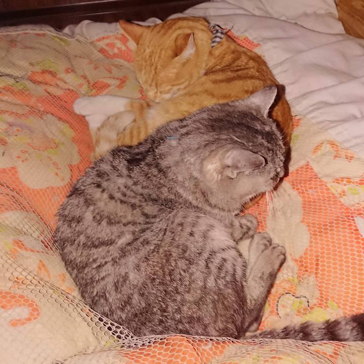 A263f551 6eee 44c6 9366 9cadf4cca3cf 1605875403797