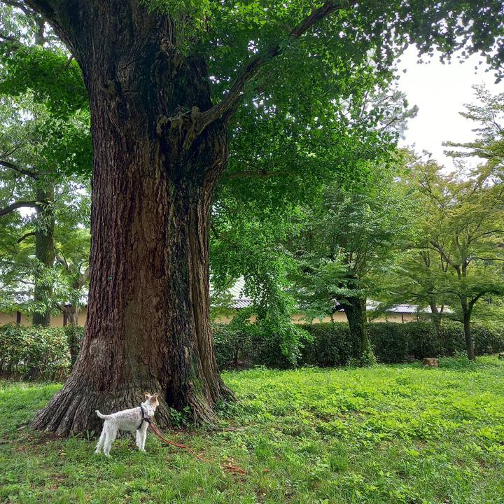 A26407dd 2da5 4101 b1b0 046a779b06b2 1625906161057