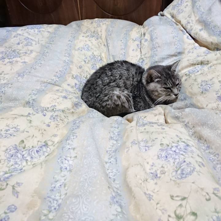 A2643106 d15c 43c6 8ebe 4d0785ad0591 1573820061193