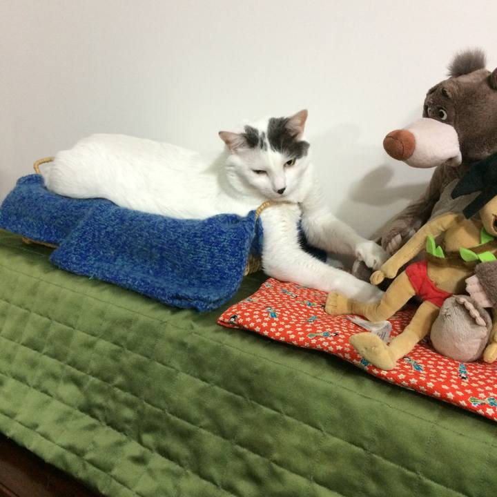 A2645404 4734 40a3 b7af 8c6ac5b2c6a8 1548362344851