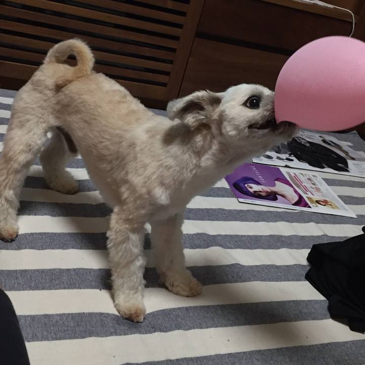 A264673b 12b8 4dff 8797 9688405385a9 1567423046566