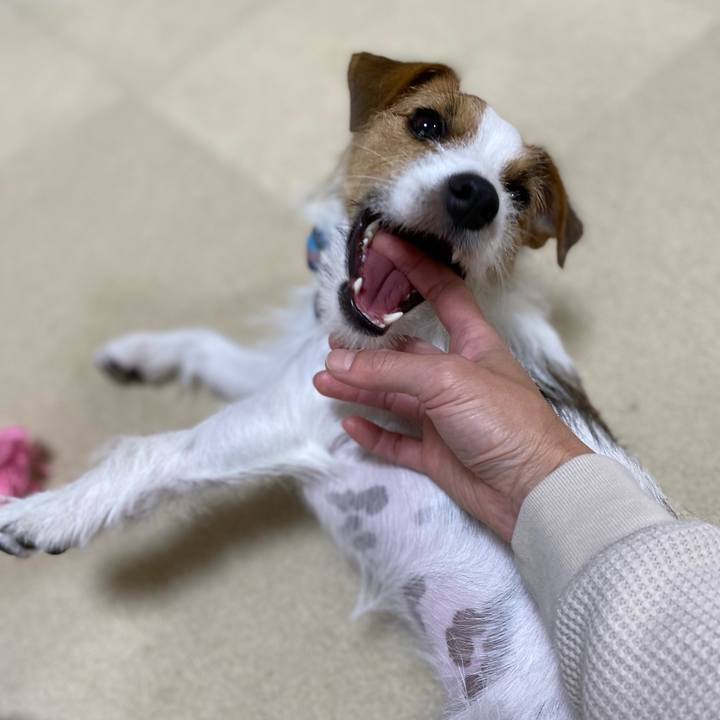 A26468df 9726 402c 8728 6f96b9010da2 1665282666931