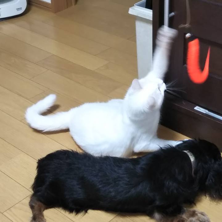 A264c2ff 488d 48e7 b9a0 e612cba593c1 1625020814709