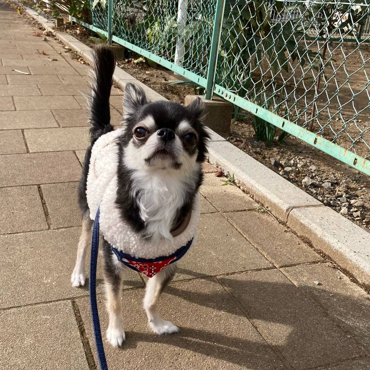 A264f467 4cd5 424f 8e22 7c96b9b2429d 1671886058755