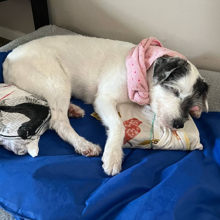 A264f6bd b312 4508 9e29 4cf108bf55b5 1720650393951