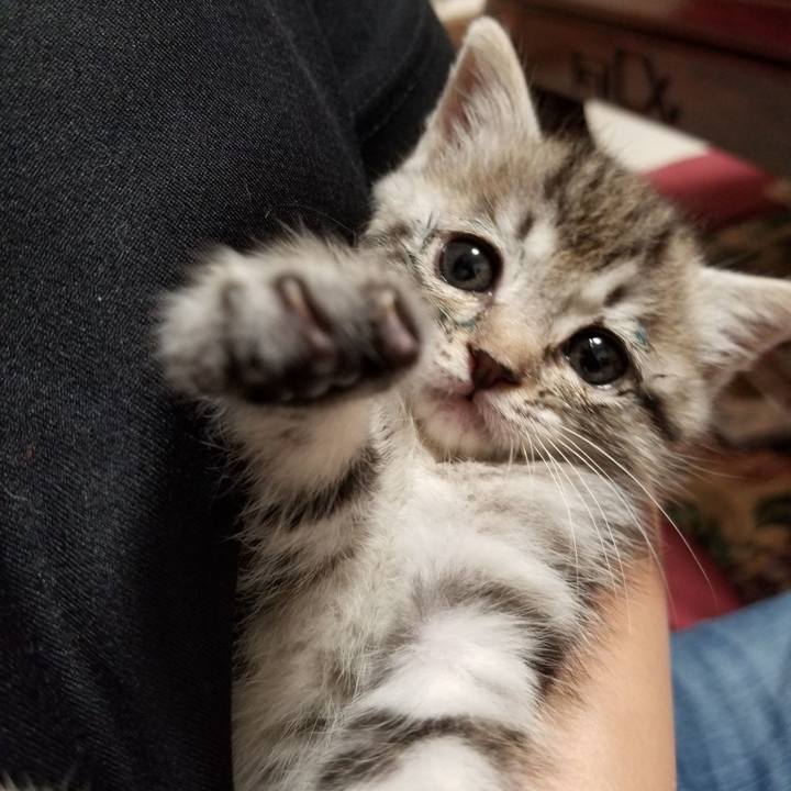 A265096b c2f4 4bf7 8255 0aeaf9a63494 1660660617508