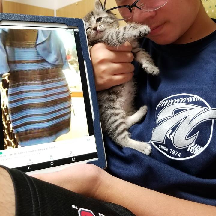 A2654648 857a 496e b76f aae4099790a4 1661182158452