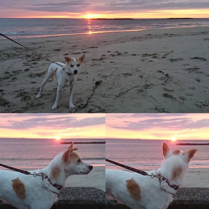 A2655091 485d 4a2f 8af6 f0769e40b169 1600750988315