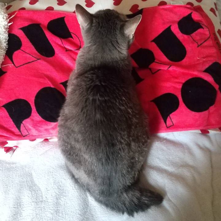 A265617d fd42 499d ac09 0d4ab1f10a3d 1696462161672