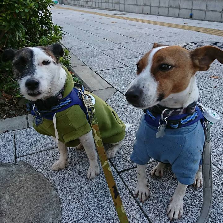 A26581c0 af0d 47a0 9906 dd9e965733c5 1541200125733