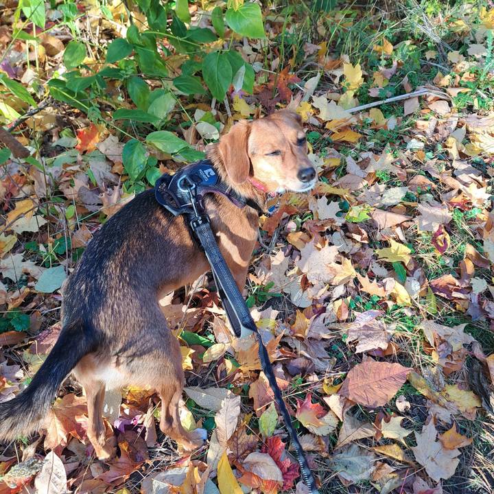 A265859f d3c0 4751 bb72 ac704ee84fe4 1762381202545