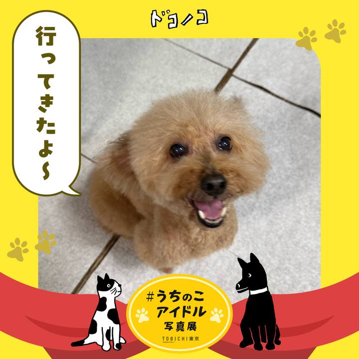 A265a20e 3713 436f bb72 172d62d02d26 1761687281054