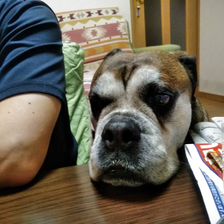 A265b28b 5970 40db aae0 dfb86a95e340 1558924312924