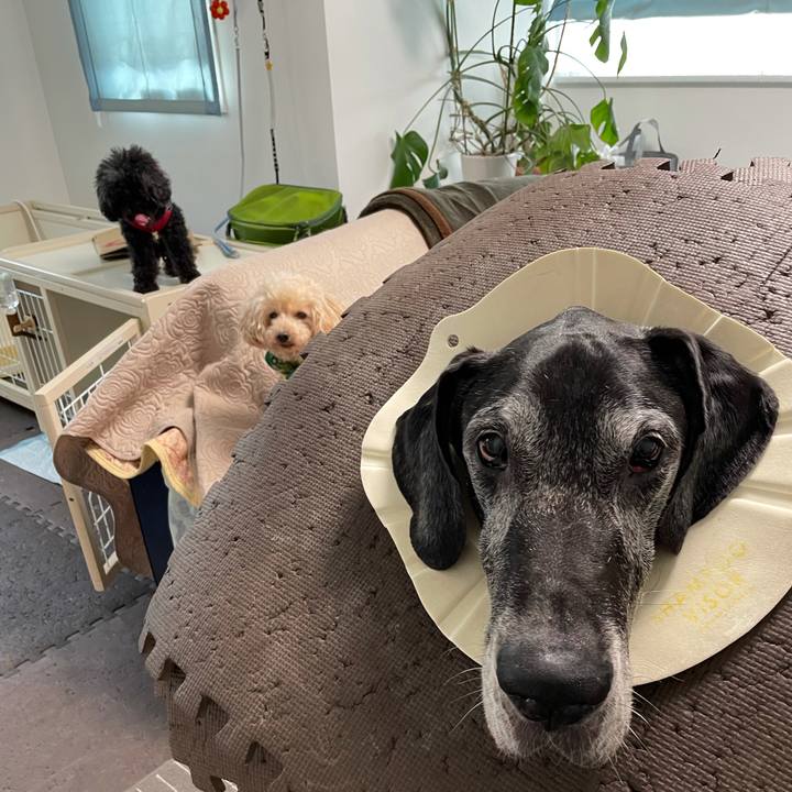 A265ea55 3fc3 48db bb5b 9d592c4bd41a 1635807698526