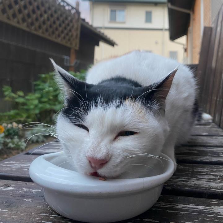 A2662f75 77bd 40a8 bc72 ae788b62fd94 1641484032859