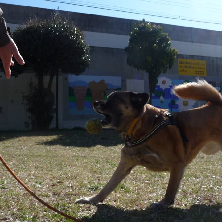 A2665f00 8e74 4896 b3e9 90659626040d 1577276118564