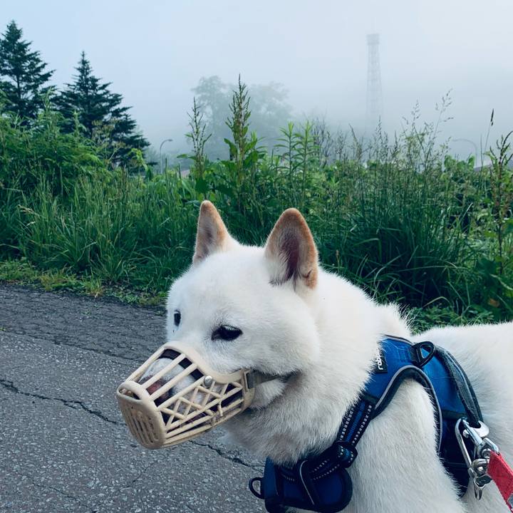 A2665f92 661a 4cdb a9ba da2e08a11b24 1624825662398