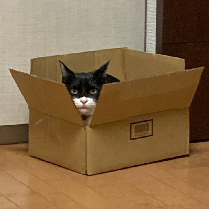 A2666af3 0427 4a26 b083 0690e226c0b5 1664051396178