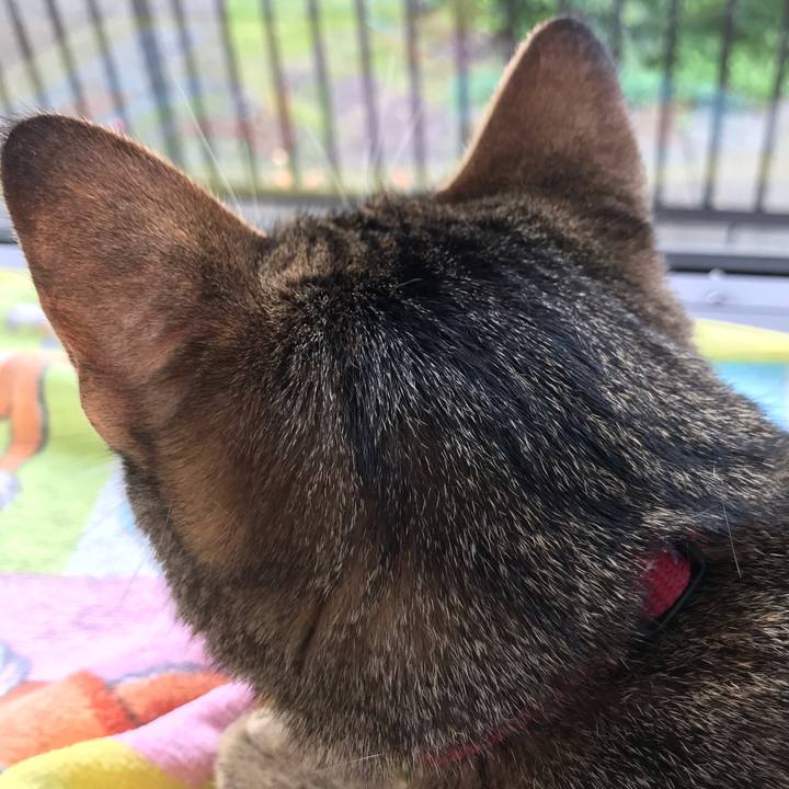 A266b664 e20a 4188 8dd7 a5d8f53b59cd 1594196952579