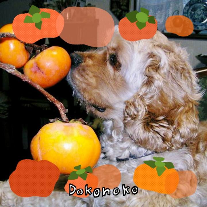 A266d7cf 1ddd 4dd9 9592 f7b9861761e8 1761278195208