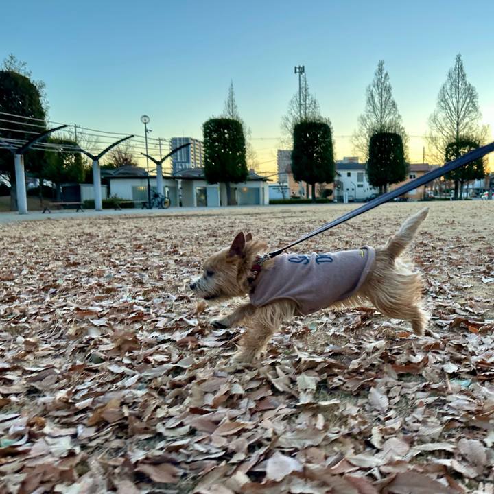 A266de92 a889 4024 a8c2 fa7f6e387b61 1735397282211