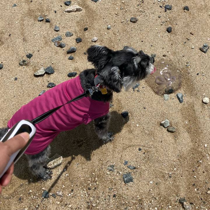 A2670bba 7021 48af 9568 5faa0d94d1d5 1750479767301