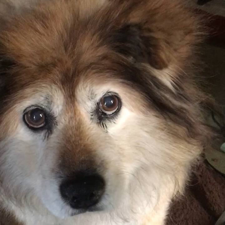 A267147b 8f19 4005 b8a4 e06ffddd5e8d 1551331777451