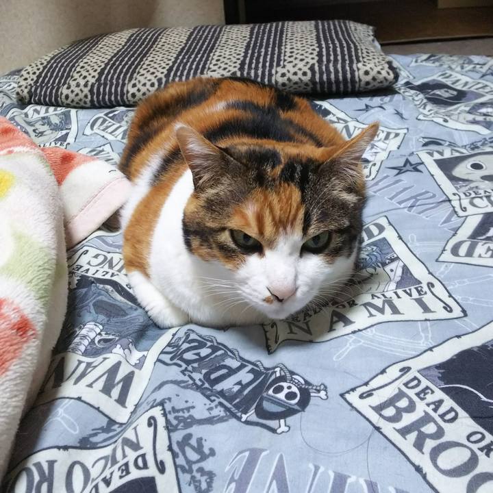 A26733cd d441 493d 9afa 015d50e6f06c 1526244597186