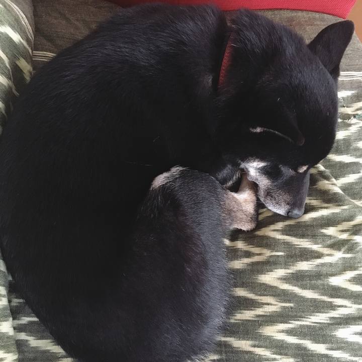 A267593c 7fd1 4be1 af16 633f63d9b754 1539481149802