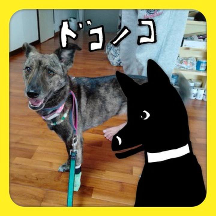 A2677c4a 9b64 4b36 beb5 0541ef9a801e 1623501557261