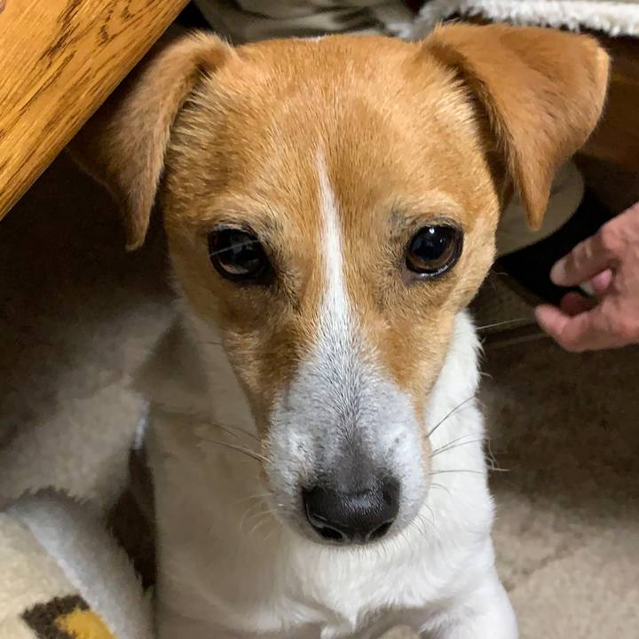 A2679dec 12ae 4769 890d 35420dd74176 1589105996484