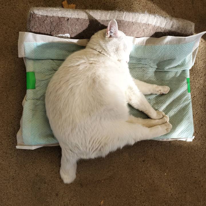 A267ac7d e150 48a2 afdb 4720337e8769 1768448810599