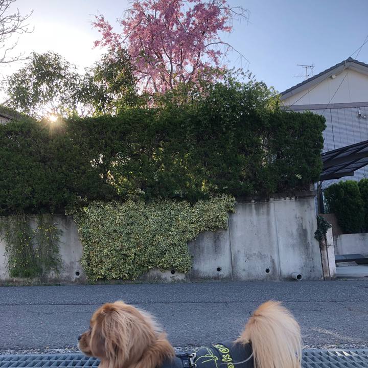 A267c688 87aa 4a04 9411 25a263fbea78 1522363057566