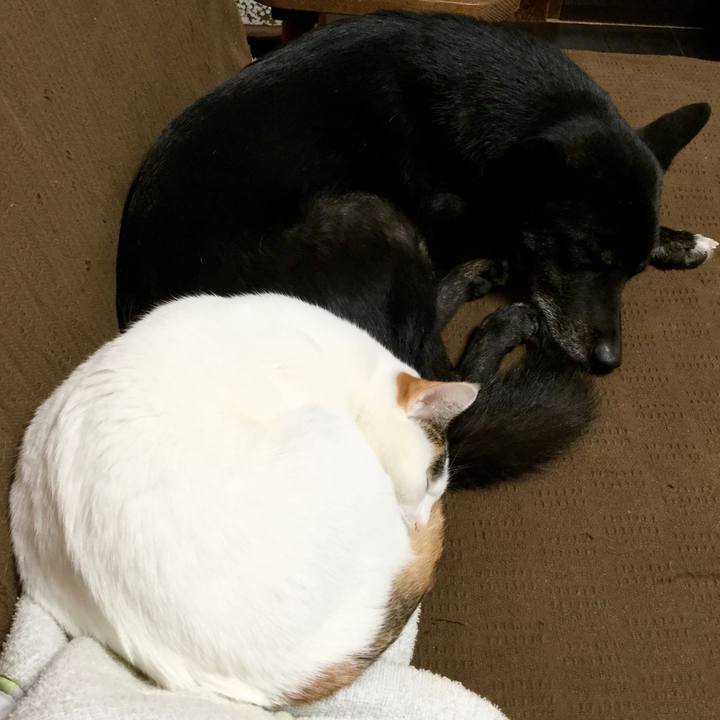 A267ece1 58f4 44fb 96a5 66cd45c15872 1574467951547