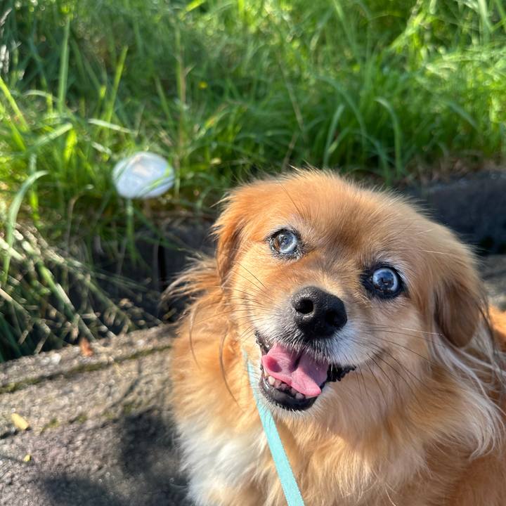 A26803b0 8b3c 4f0b 883e d8e45f496b6f 1721431480209