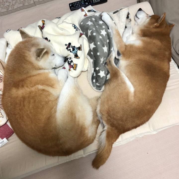 A26814ed ffb1 4dfb a725 c8ce5d703cd1 1576834868606