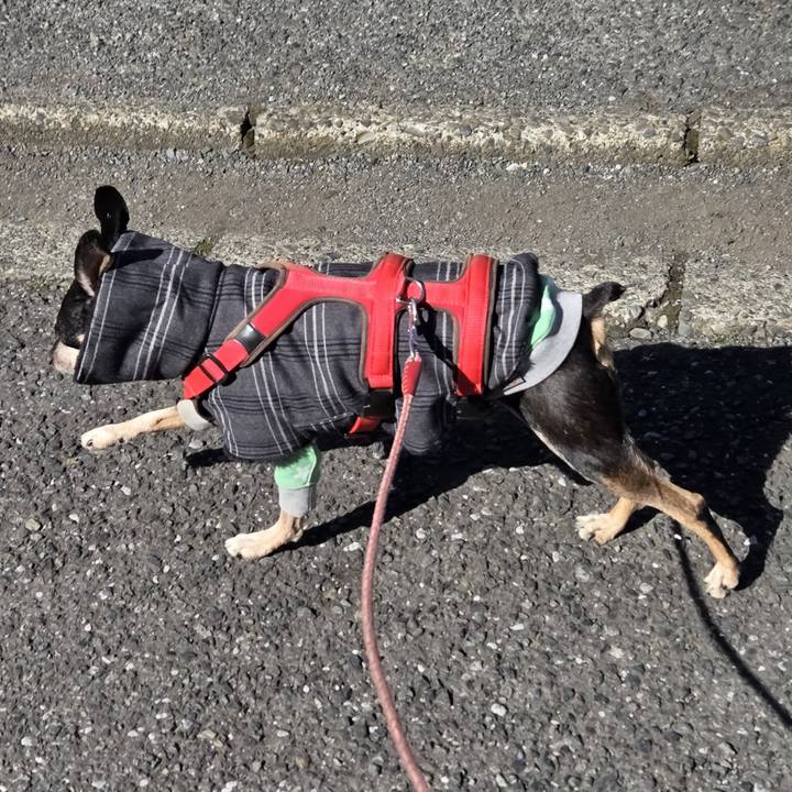 A2684e27 f57e 421b b642 4c4aa20e90b3 1771467829280