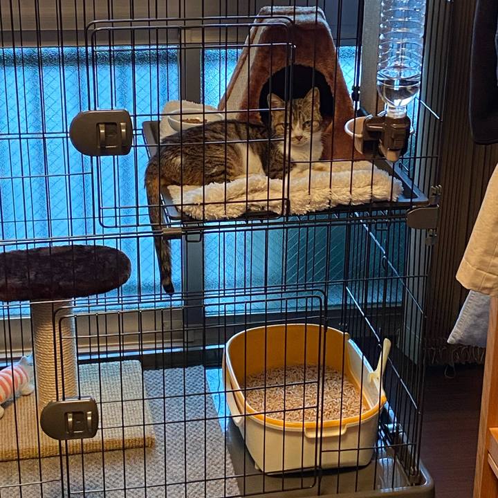 A26863a7 8aff 4682 80a6 c6e1336397cf 1585711461570