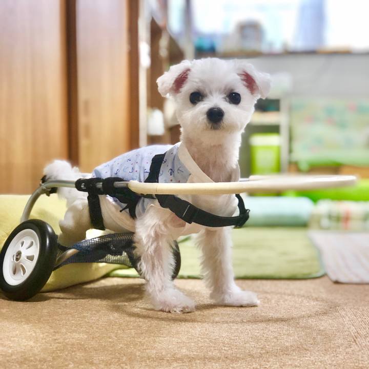 A26892ae 7cbf 48f9 a7a9 9811a9b121bd 1591949839523