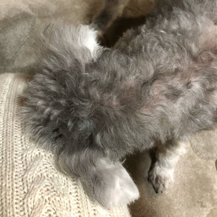 A2689625 47e1 4b63 b4ce ba87e1049cde 1617668060317