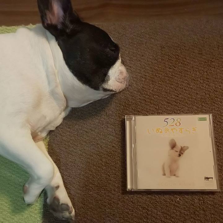 A2689767 8520 4a3d 86b9 500ea374f38d 1570107981107